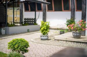 A small courtyard with a few potted plants photo