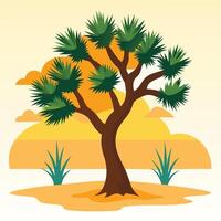 Joshua tree in desert landscape with sunset background vector