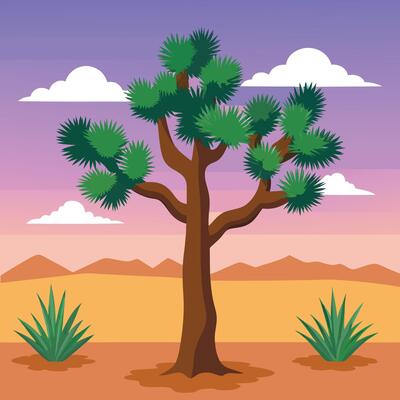 Joshua tree in desert landscape illustration