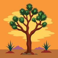 Joshua tree in desert landscape with sunset background vector