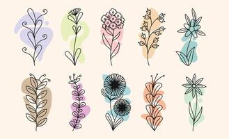 Linear Aesthetic Flower and Botanical with Pastel Blob vector