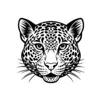 A leopard head is shown in black and white vector
