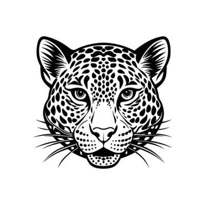 A leopard head is shown in black and white
