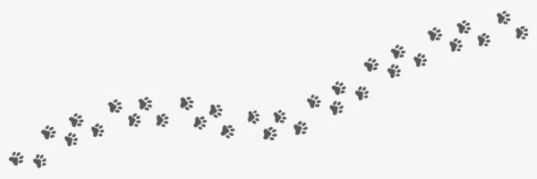 Pet path pattern, Animal footprint vector