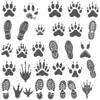 Monochrome Animal Footprint Set vector