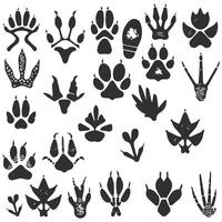 Big monochrome set of different animals footprint. vector