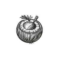 Stylish Engraved Illustration Set of Coconuts and Palm Leaves vector