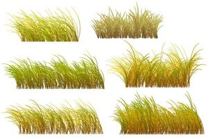autumn grass clipart vector