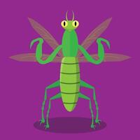 A cartoon grasshopper with big eyes and long legs vector