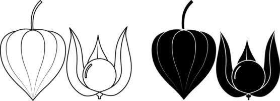 outline silhouette Physalis fruit icon set vector