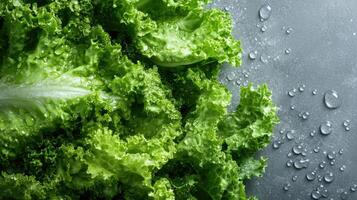 Fresh Green Lettuce with Water Drops on a Gray Surface photo