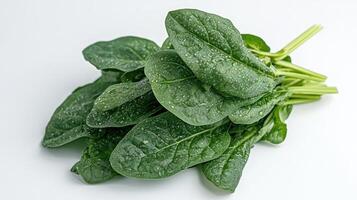 Fresh Spinach Leaves with Dew Drops photo