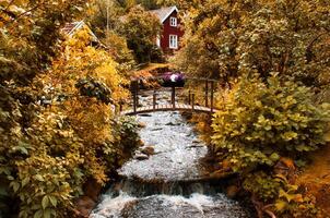 Stream with a small bridge in front of a red wooden house in Sweden in autumn. photo