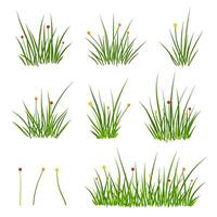 Set of grass cartoon element with colorful flower vector