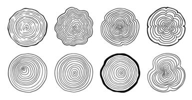 Tree ring wood circle set. Hand drawn tree ring pattern, line ripple circle wood texture. Wood organic slice line design. vector