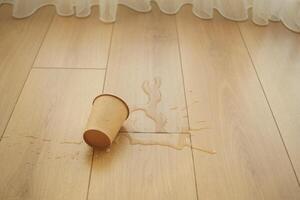 A cup of liquid spilled on a wooden floor resulting in visible water stains appearing photo