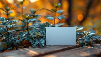 A white card is sitting on a wooden table in front of a bush photo