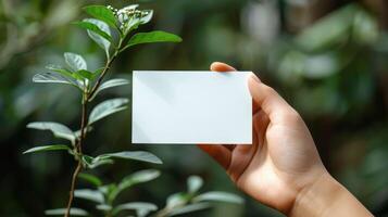 A hand holding a blank card in front of a leafy green plant photo