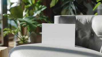 A white laptop is on a grey couch in a room with plants photo