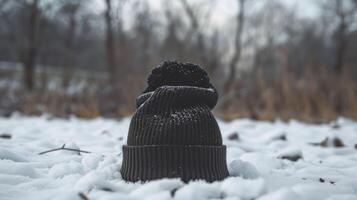 A black hat is sitting on top of the snow photo
