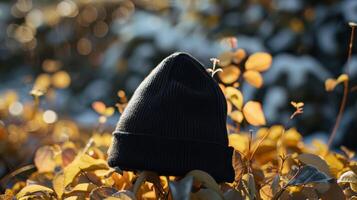 A black beanie hat is sitting on top of some leaves photo