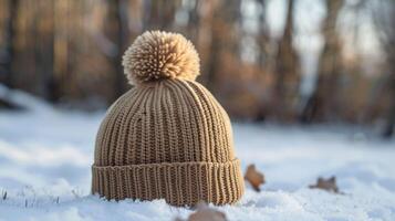 A brown knit hat with a pom pom sits on top of a snowy field photo