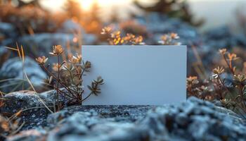 A white sign is placed on a rock in a field photo