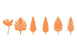 A set of different types of plants in orange vector