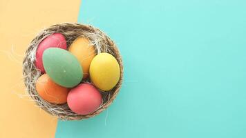 easter concept with multi color egg on pink background. video