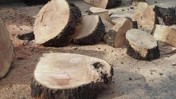 Stack of hardwood logs create a rustic landscape in front of the house video