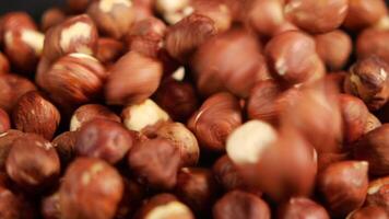 hazelnuts in a container on black background, video