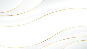 Elegant white luxury background. Abstract wave dynamic wallpaper with gold lines vector