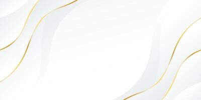 Abstract white luxury background . Gold lines wave shapes vector