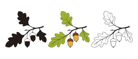 Oak branch with leaves and acorns, icon set drawing, lineart contour and silhouette. Isolated on white background. vector