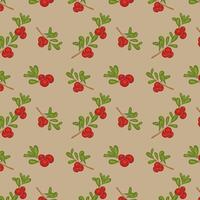 Seamless pattern with bright cranberries on beige background vector