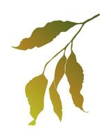 Autumn gradient leaves on slender branch, isolated on white background. vector
