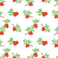 Seamless pattern with cranberries on white background. vector