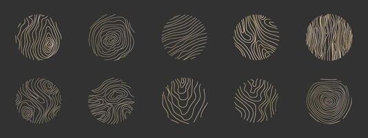 Golden thin line tree ring collection. Elegant gold wooden section texture circle. Topography map geographic grid contour. Wood stump timber. vector