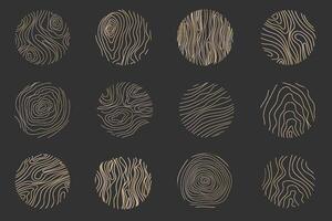 Golden thin line tree ring collection. Elegant gold wooden section texture circle. Topography map geographic grid contour. Wood stump timber. vector