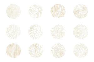 Golden thin line tree ring collection. Elegant gold wooden section texture circle. Topography map geographic grid contour. Wood stump timber. vector