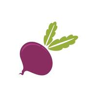 Beet or Bits - Vegetable Icon Logo Template Illustration Design vector