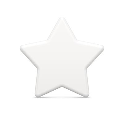 Tenderness white glossy five pointed star design leadership achievement insignia realistic