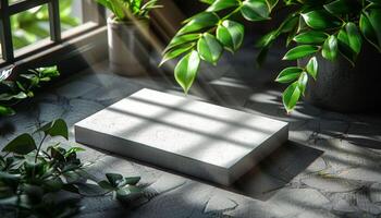 A white box sits on a grey surface with a plant in the background photo