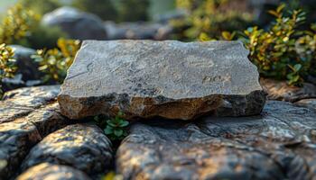 A stone slab is sitting on a rock photo