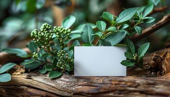 A white card is placed on a wooden surface with green leaves and berries photo
