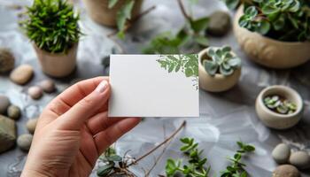 A hand holding a white card with a green leaf design on it photo