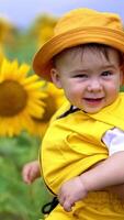 Funny little boy in yellow clothes and panama is in the sunflower field. Focused kid watching in front of him and touching the flower. Blurred backdrop. Vertical video