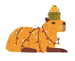 Cute capybara wrapped in garland with lights holding gift box and tangerine on it's head flat illustration isolated on white. vector