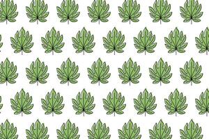 aralia leaves pattern background. green aralia leaves pattern background. green aralia leaf seamless pattern. seamless patterns with green leaves of aralia. vector