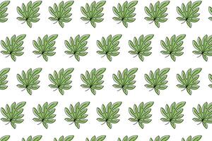green aralia leaf seamless pattern. green aralia leaves pattern background. aralia leaves pattern background. seamless patterns with green leaves of aralia. vector